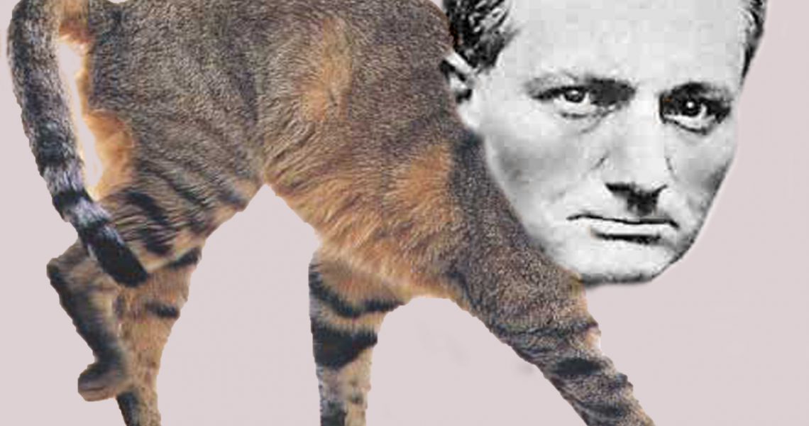 R baudelaire LE CHAT M18